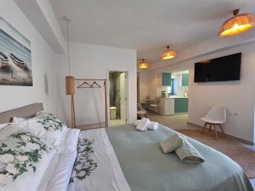 Karpenisi Apartment | Akti luxury aparts