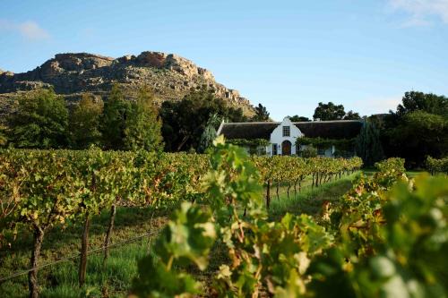 Clanwilliam House | Alpha Excelsior Guest Farm