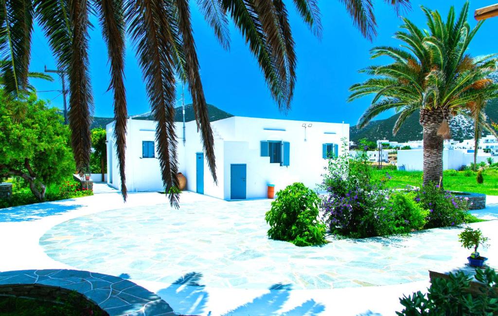 Apollonia House | ANCIENT MEROPIA, Apollonia