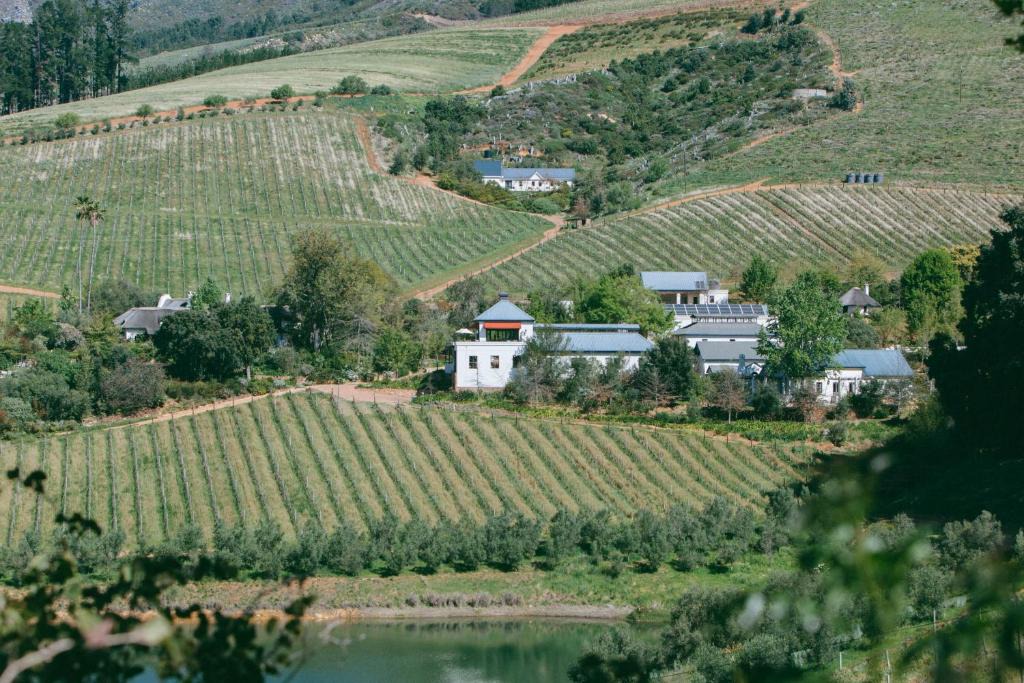 Cape Winelands Apartment | Bartinney Private Cellar Banhoek