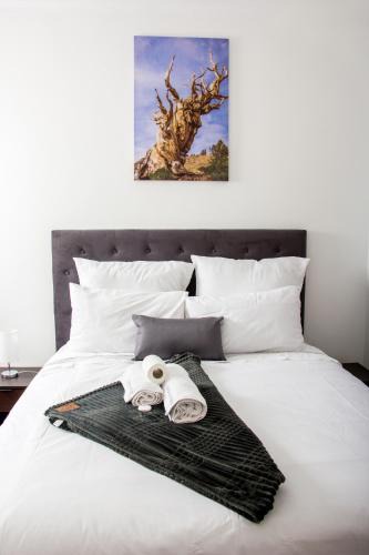Goodwood Cabin | Botha Villa Lodge Goodwood