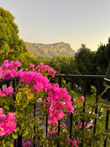 Constantia Apartment | GRACE COTTAGE Charming 2 Bed en-suite Cottage with Solar
