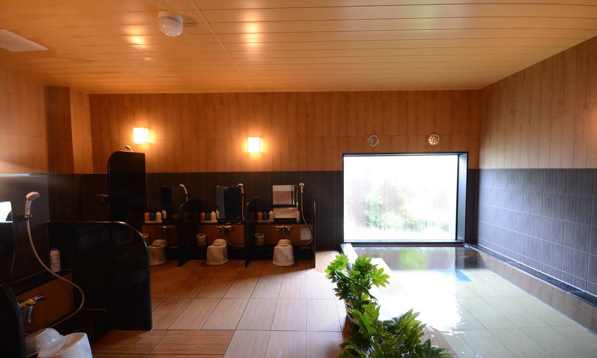 Annaka Hotel | Hotel Route-Inn Annaka