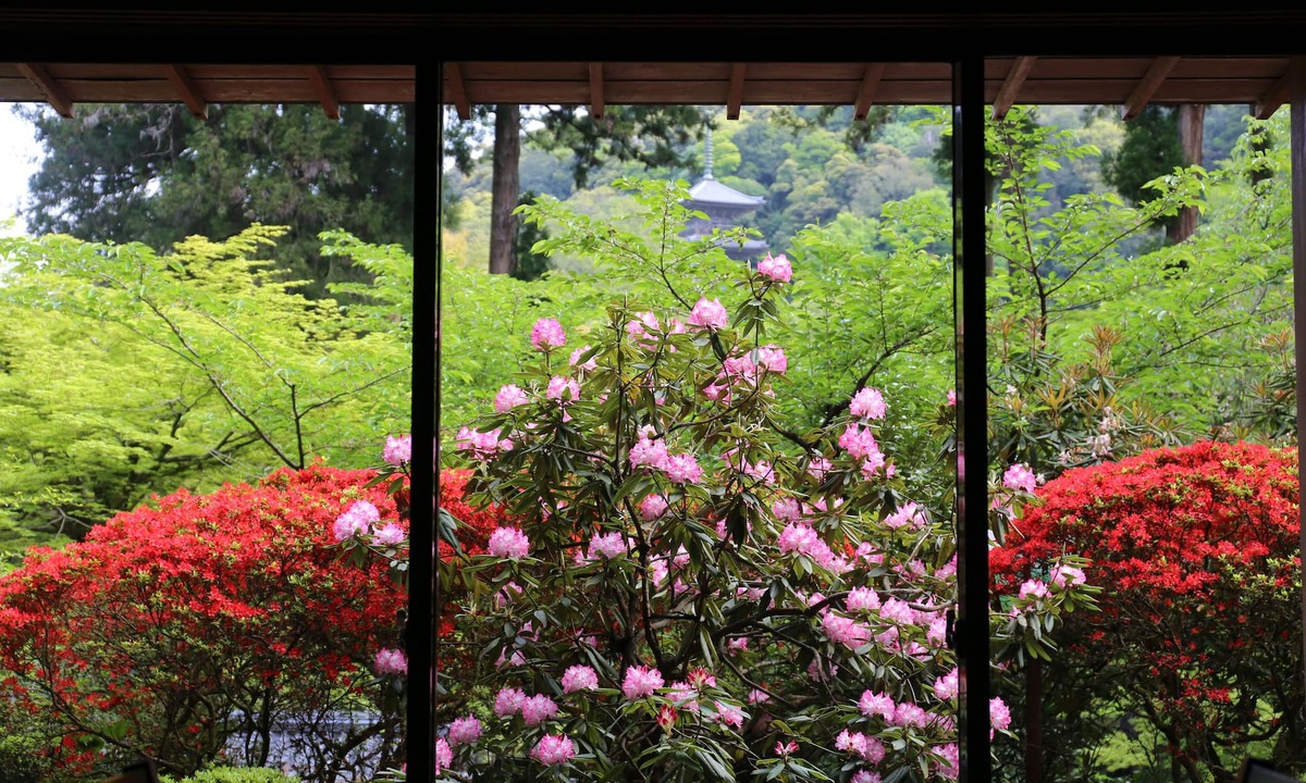 Yasugi House | Koyokan