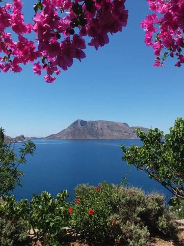 Kalymnos Apartment | Niotis Studios