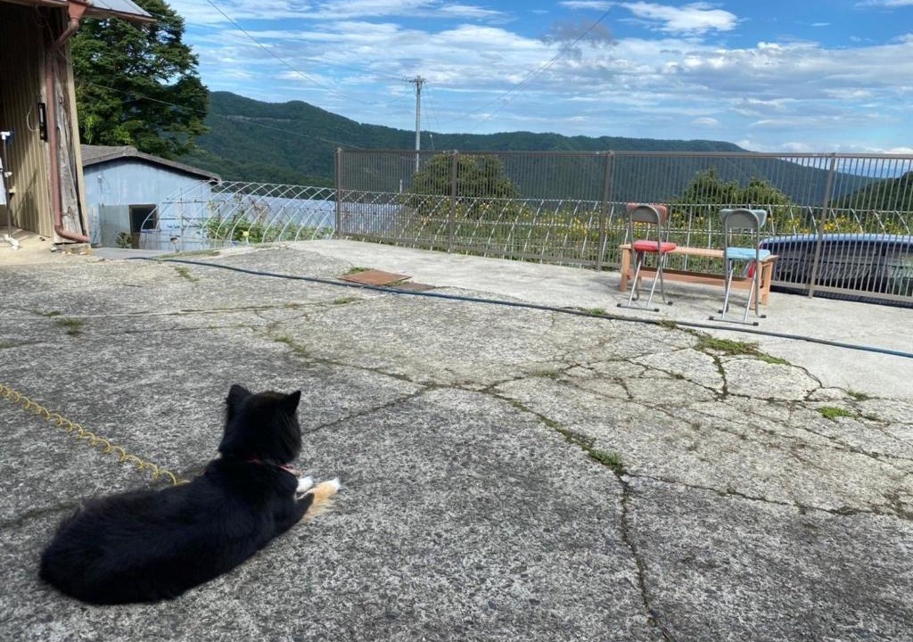 Tsurugi-cho House | Nouka Minsyuku Nakajima - Vacation STAY 99829