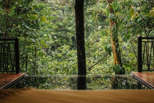La Palmeria Villa | Nuakú Jungle
