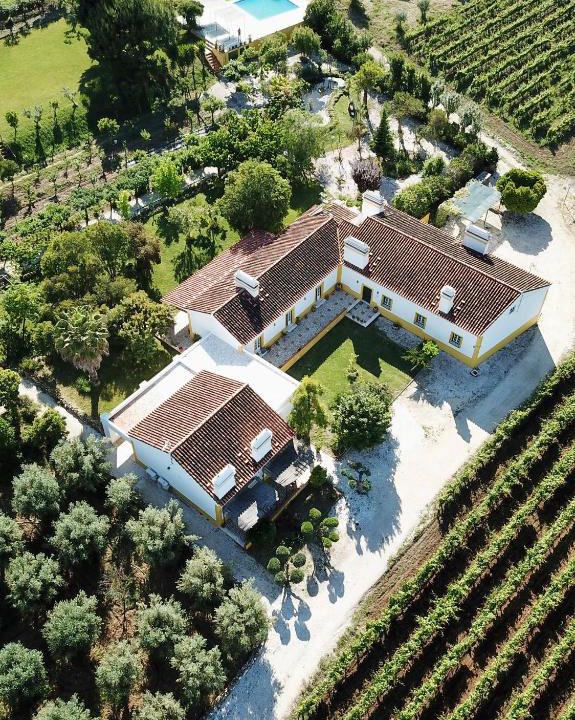 Borba House | Quinta da Trombeta