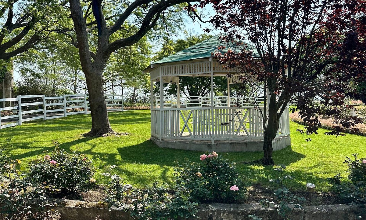 Grabouw House | Rose Cottage, Elgin Grabouw