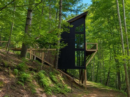 My Mountain House | Treeangle Treehouse