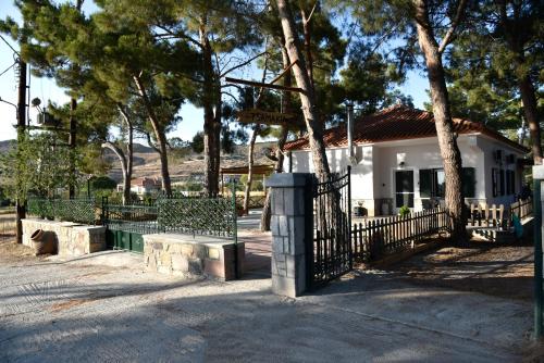 Petra House | Tsamakia