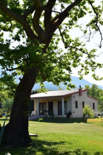 Samothrace Villa | Villa Asteria