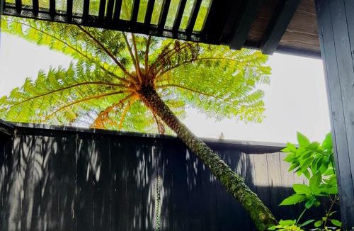 Akaogi Villa | 奄美大島の宿