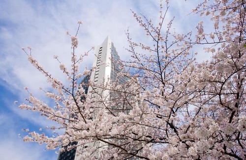 Akasaka Hotel | ANA InterContinental Tokyo by IHG
