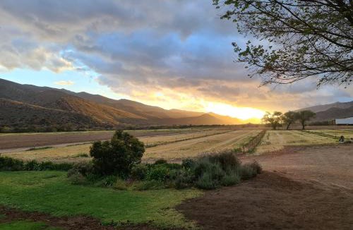Prince Albert House | Angelierbosch Guest House