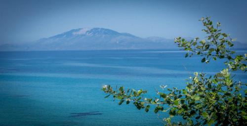 Tsilivi Apartment | Arvanitakis Studios