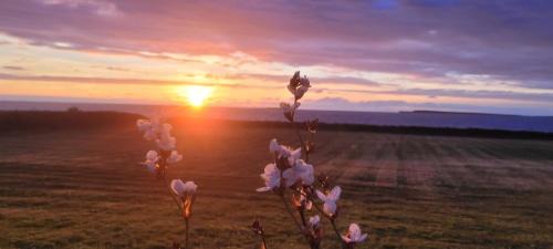 Creegh Apartment | Atlantic Way Suites Doonbeg Co Clare