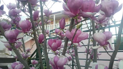 Cotas House | Casa Castedo do Douro