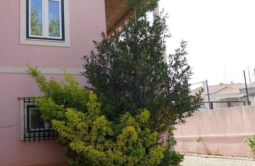 Leiria Villa | Casa da Palmeira, Comfort and simplicity in Leiria