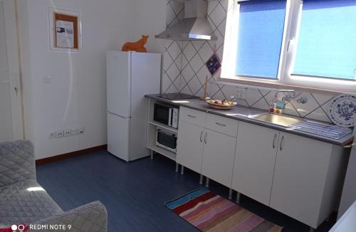 Macas de Dona Maria Apartment | Casa da Professora
