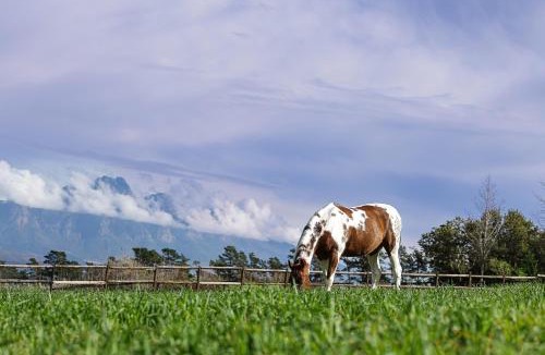 Franschhoek Ski Chalet | Courchevel Cottages