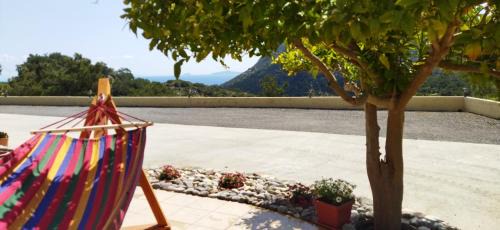 Kefalos Apartment | Eirini
