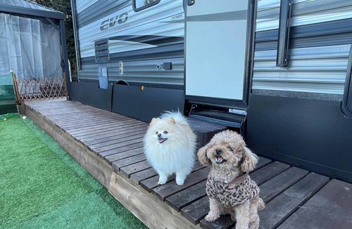 Futo Cabin | For 2 people Dogs allowed Dome tent 6mE traile/Ito Shizuoka