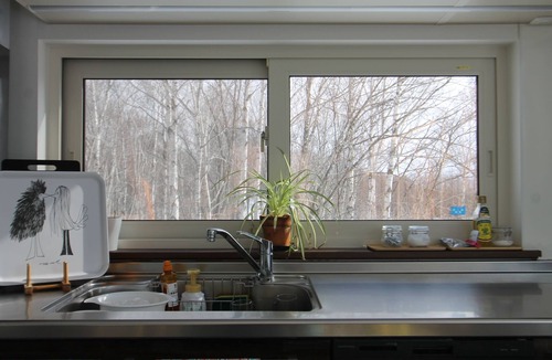 Niseko House | Forest Hideaway