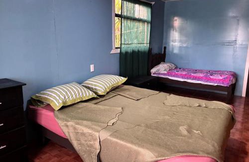 San Lorenzo House | Golden Jungle Hideaway