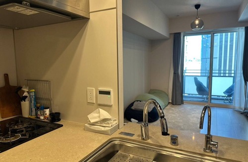 Nishigotanda Apartment | Gym and work lounge included! Newly built apartments in "Proud", the finest apartments for families in the heart of the city. Spacious 2LDK 60m2 space