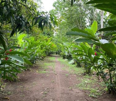 Rio Jimenez House | Hostel Guacimo