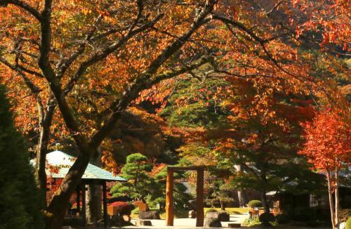 Nasushiobara Hotel | Itamuro Onsen Daikokuya