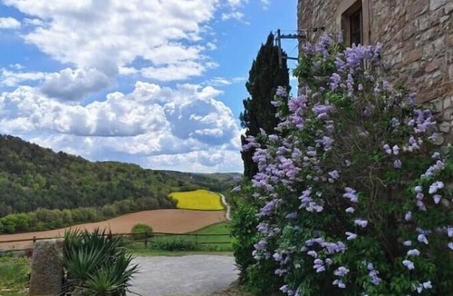 Moia Hotel | "La Fleca": Accommodations with a Catalan vaulted ceiling