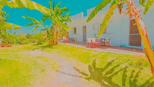 Lithakia Apartment | LECÉLESTE