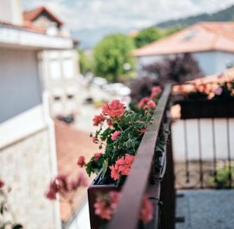 Ponte da Barca Apartment | Mponto