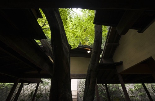 Toi House | Musouan Biwa