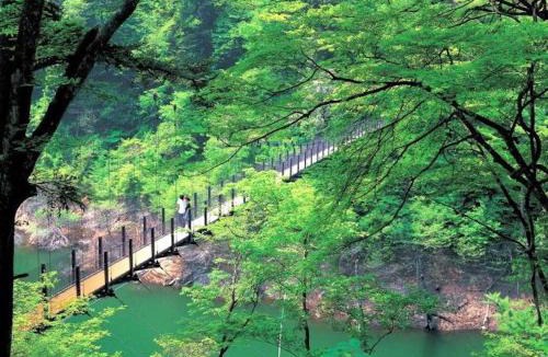 Shiobara-machi Hotel | Nasushiobara Ichimantei