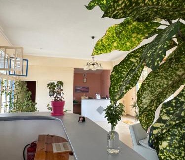 Sigri Hotel | Orama Hotel