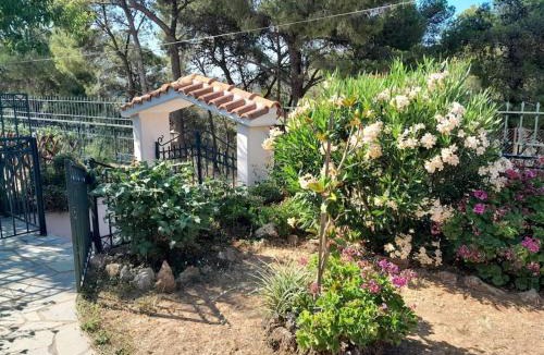 Ormos Agiou Ioannou House | PARADISE