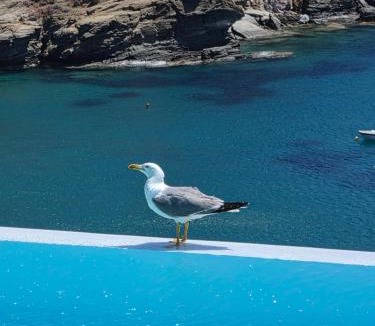 Chrisopigi Apartment | Paradise Place Sifnos