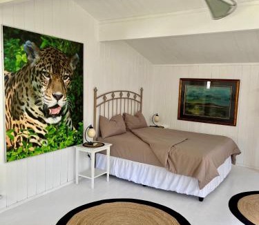Plettenberg Bay Apartment | Piesang Valley Cottage Djungle