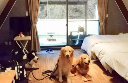 Aki Ward Other | Riverside Glamping Kamiseno - Vacation STAY 92763v