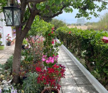 Marmari House | STUDIO ZOE