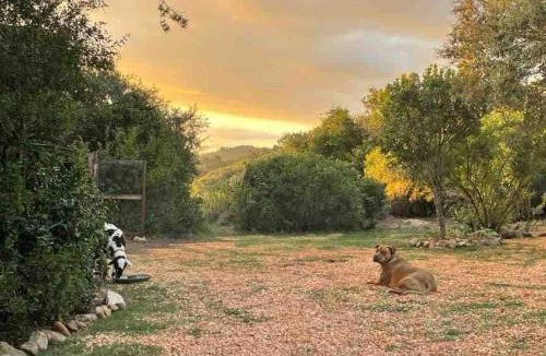 Buffalo Hills Game Reserve Apartment | The Lily Pad - Tiny Farm Cabin