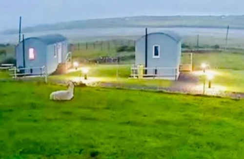 Ballyshannon Apartment | The Snuggly Sheep Shepherd Hut & Sauna Farm Stay