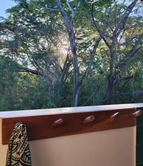 Manzanillo Cabin | Tierra Viva Eco Retreat