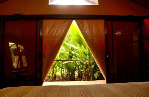 Cano Negro Other | Tocu Tent Camp