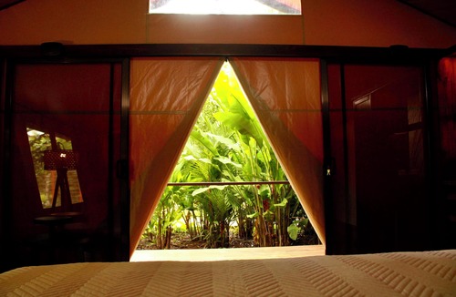 Cano Negro Other | Tocu Tent Camp