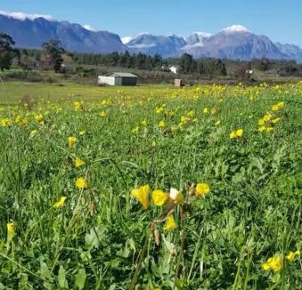 Tulbagh House | Tulbagh Tiny Homes