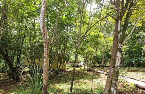 Ostional House | Villas Gecko